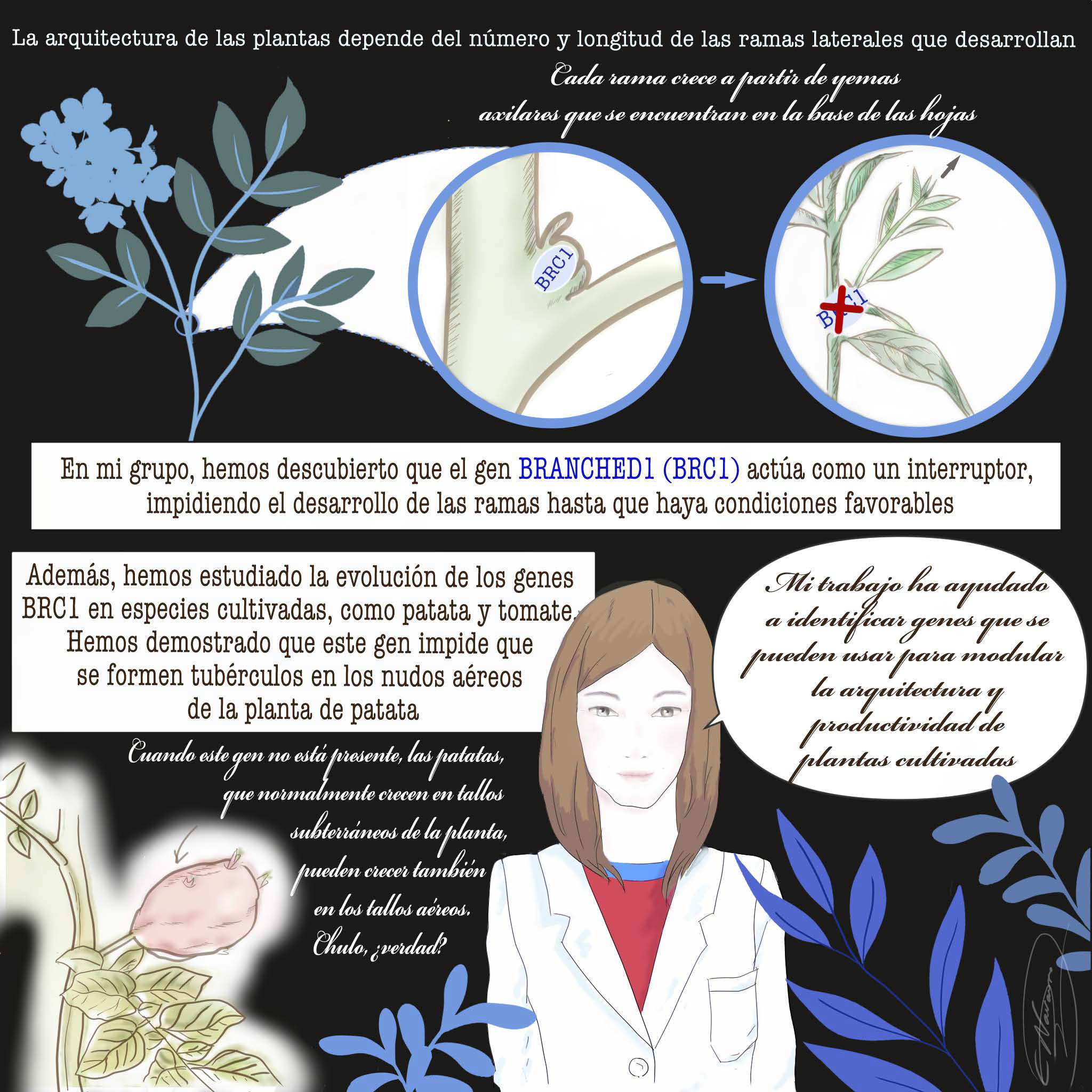 Pilar Cubas 2