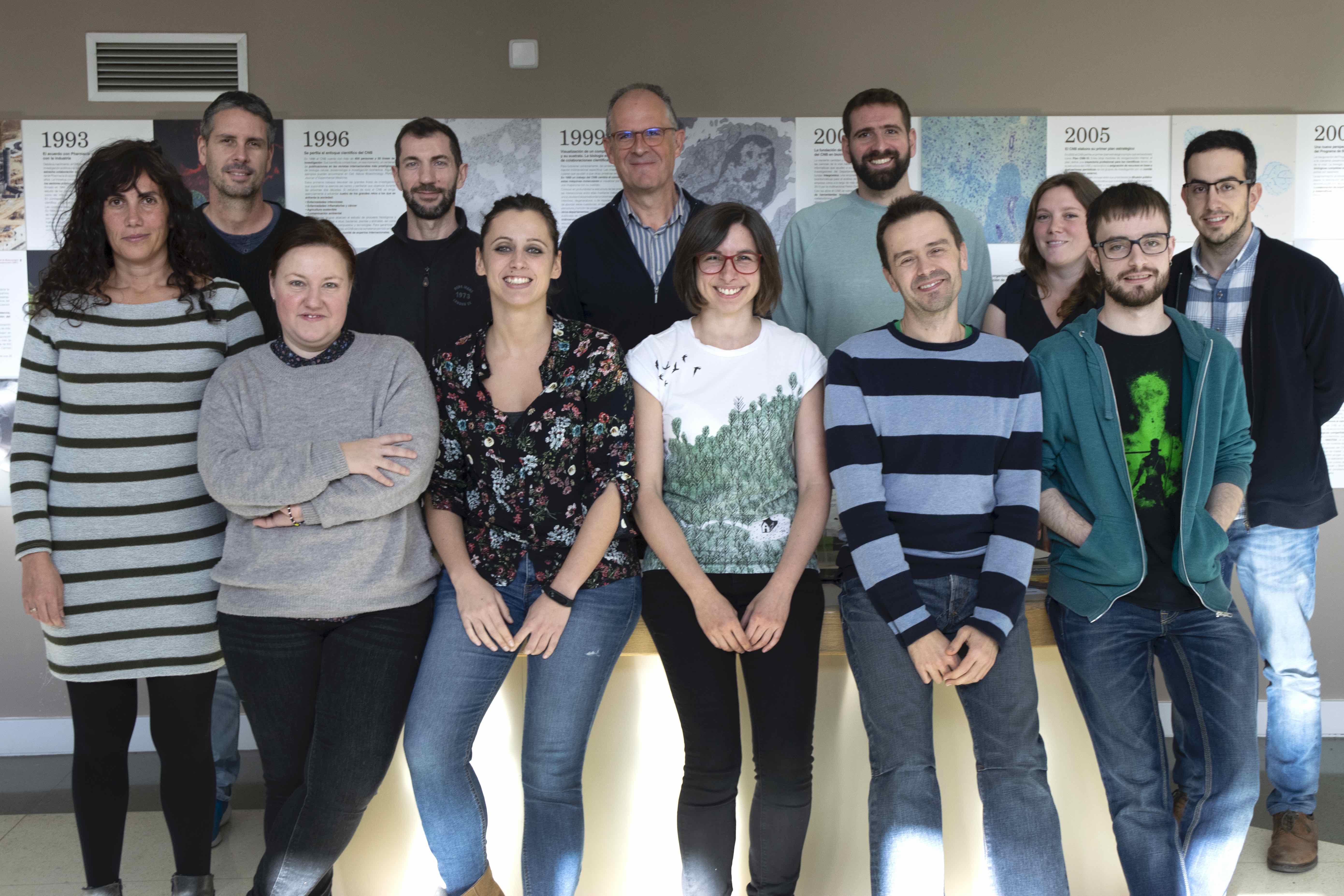Solano grupo 2018