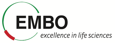 LogoEMBO