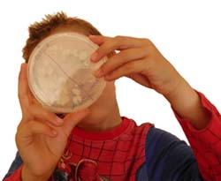 ¿Cuántas bacterias hay en tus manos?