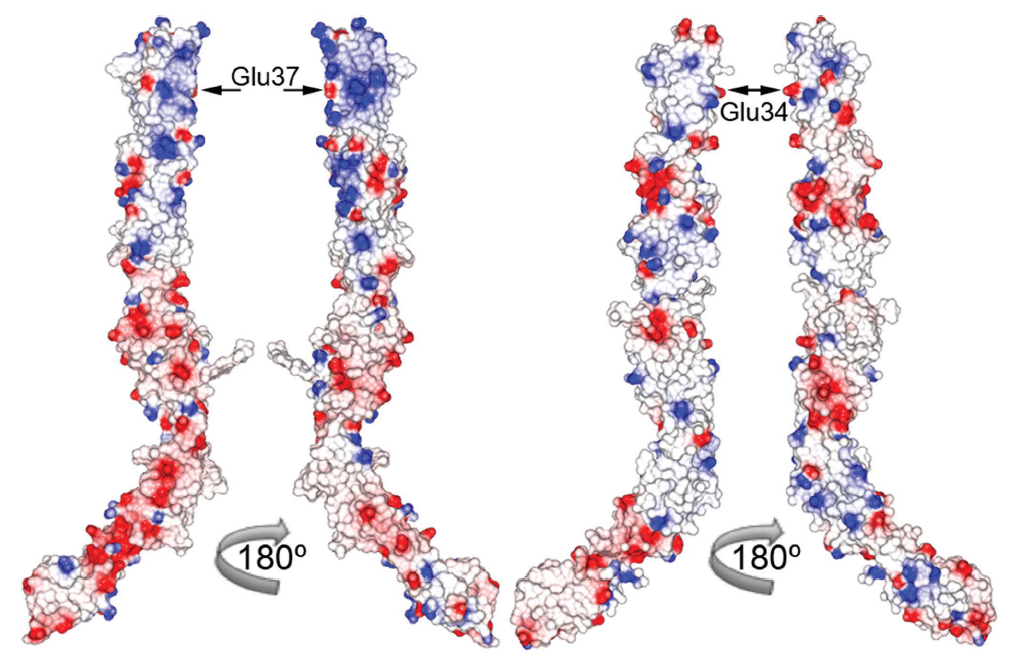 Acta Crystallogr D Biol Crystallogr. 2014; 70 (Pt 7): 1934-1943