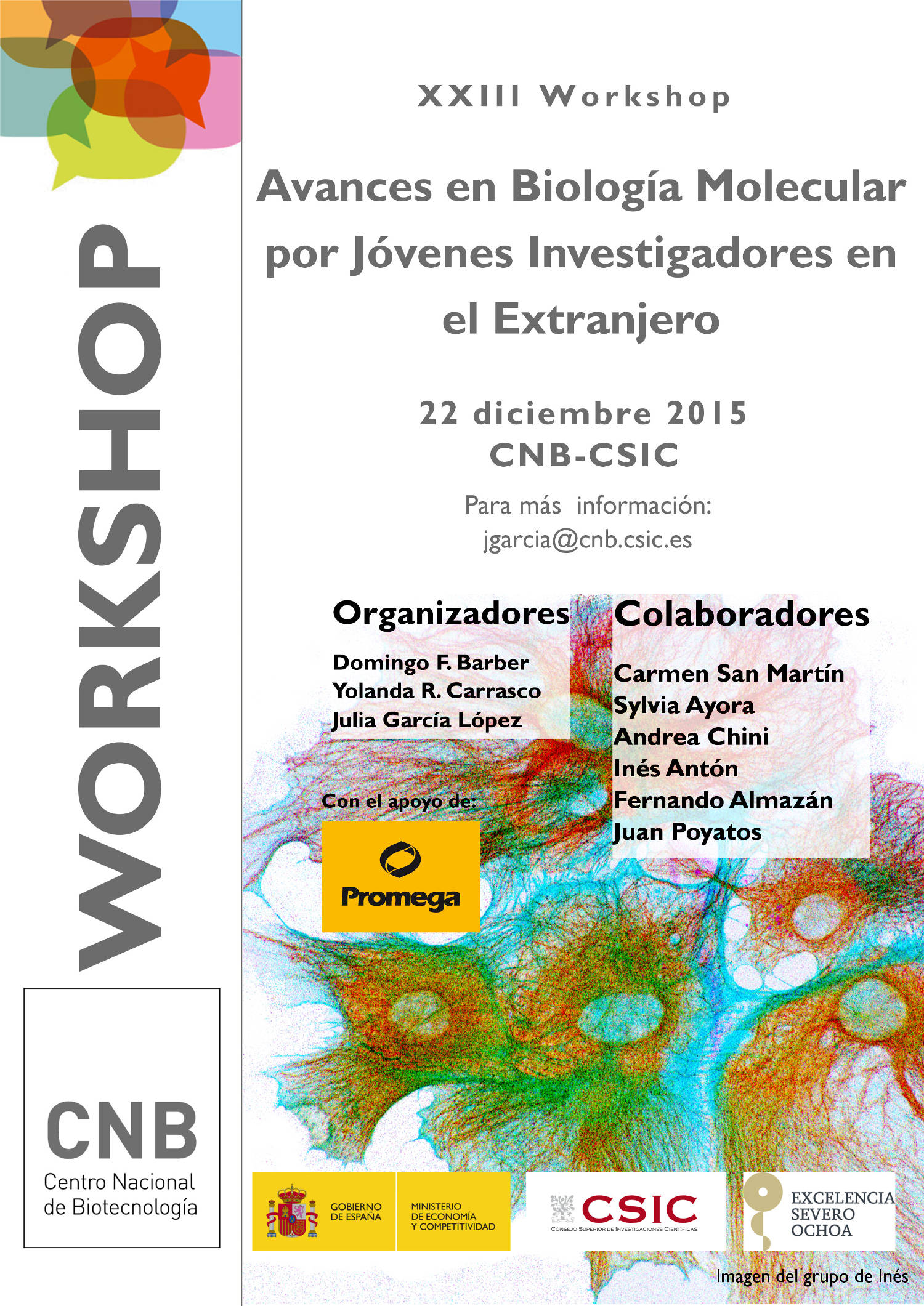 XXIII Jovenes investigadores dinA4