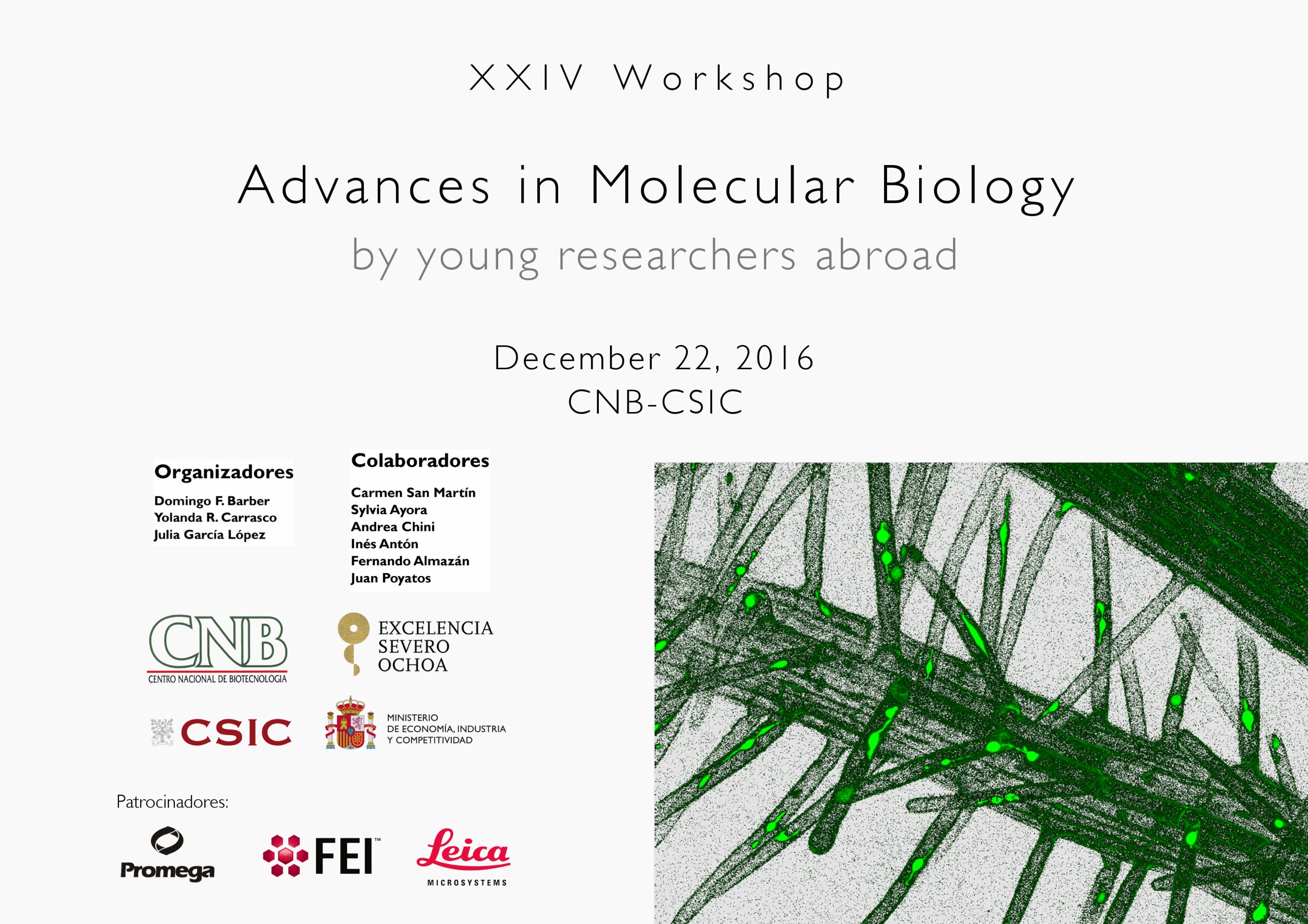 Programa de XXIV Jornadas Jovenes Investigadores Página 1