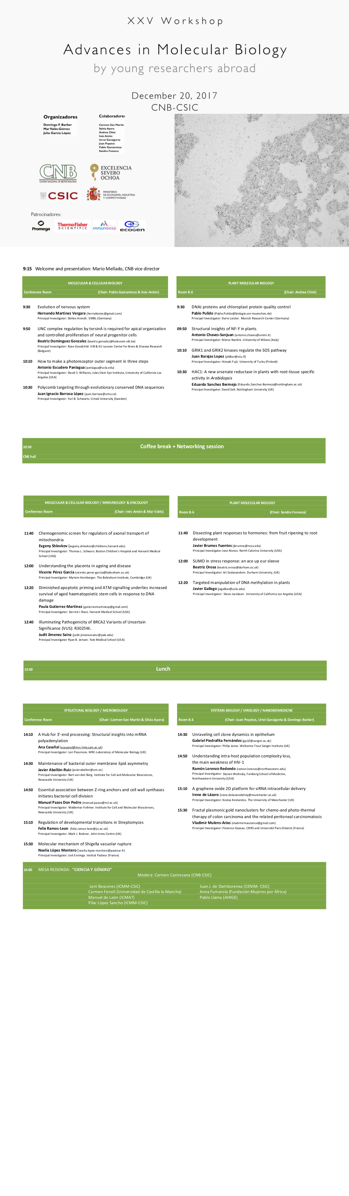 ProgramaJovenes2017
