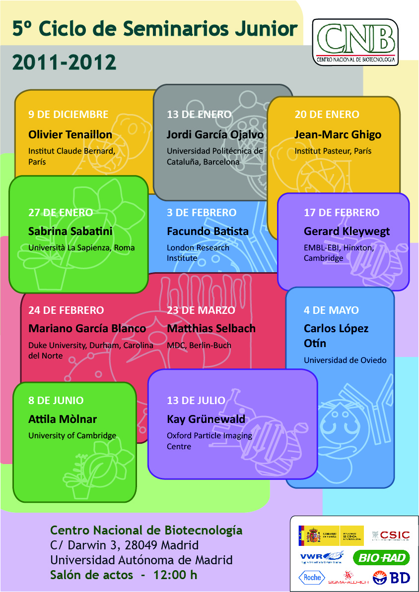 5º Ciclo de Seminarios Junior
