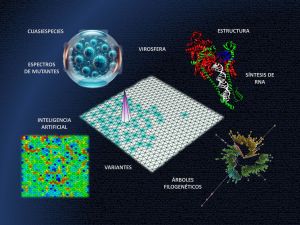 Mapas neuronales como el dibujado en el centro han servido para identificar mutaciones que afectan a la polimerasa del virus del SARS-CoV-2. La imagen transmite la multidisciplinariedad del estudio y la gran diversidad que se está descubriendo para este virus.