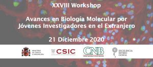 XXVIII Workshop AVANCES EN BIOLOGÍA MOLECULAR POR JÓVENES INVESTIGADORES EN EL EXTRANJERO