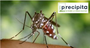 Un proyecto de ‘crowdfunding’ para investigar fármacos contra virus tropicales