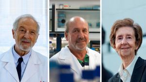Luis Enjuanes, Mariano Esteban y Margarita Salas, Medalla al Mérito en la Investigación. 