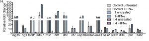 La proteína IRF9 es fundamental en el control de las infecciones virales