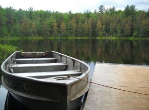 Los lagos son ecosistemas modelo para el análisis de las dinámicas de las comunidades microbianas. 