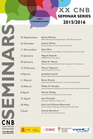 XX Ciclo de Seminarios del CNB