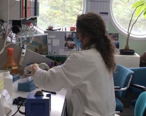 La investigadora Beatriz Perdiguero en el CNB-CSIC