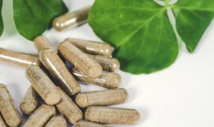 Los terpenoides y los flavonoides se extraen tradicionalmente de las plantas y se les ha prestado mucha atención debido a su importancia para diversas aplicaciones y mercados, como el farmacéutico