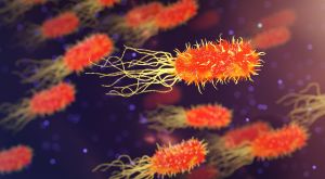 Las bacterias resistentes halladas en aguas residuales reflejan las resistencias a antibióticos de la población de una ciudad